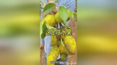 强客户忠实度